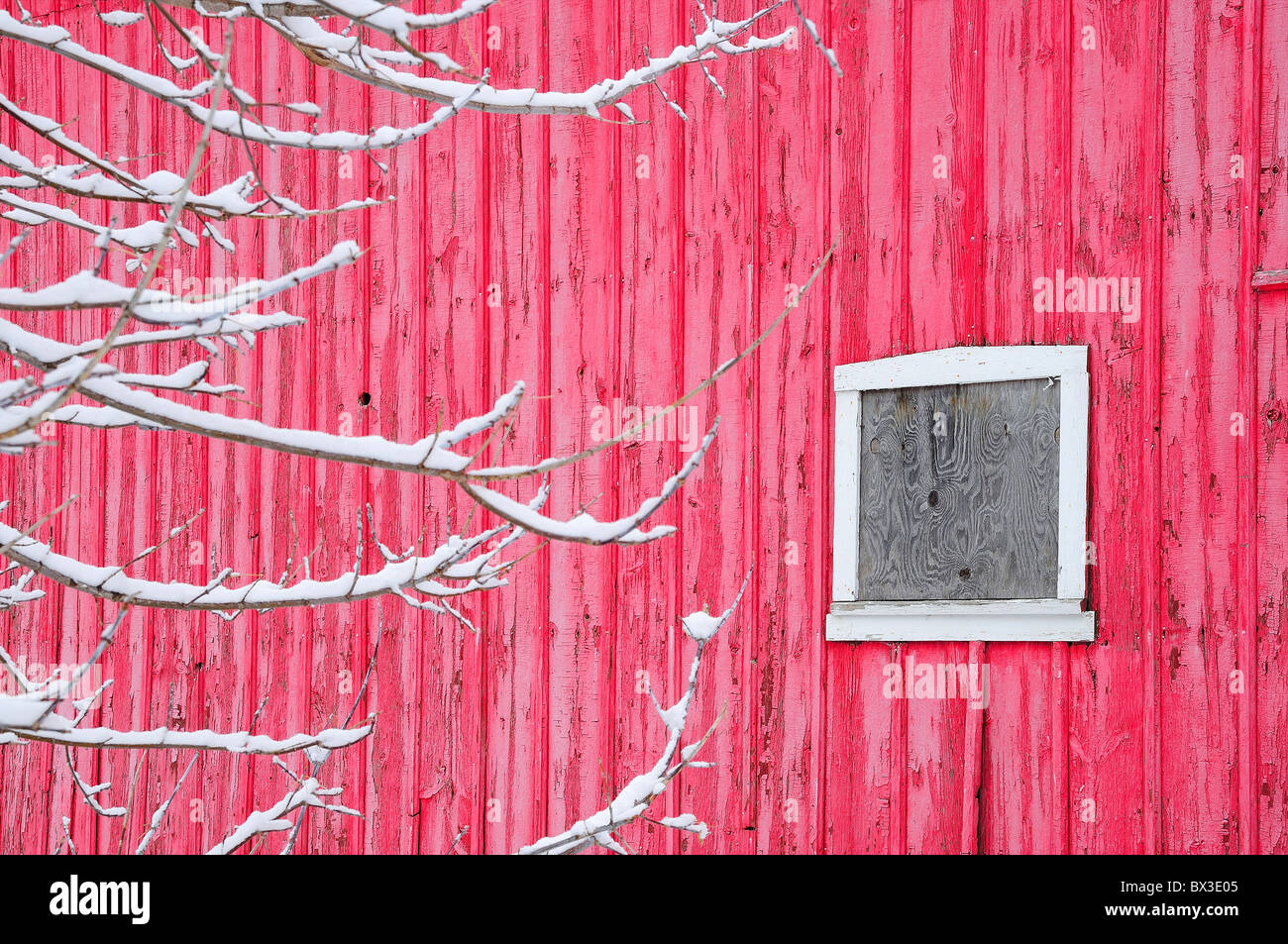 Fienile lato con finestra e coperta di neve arti Foto Stock