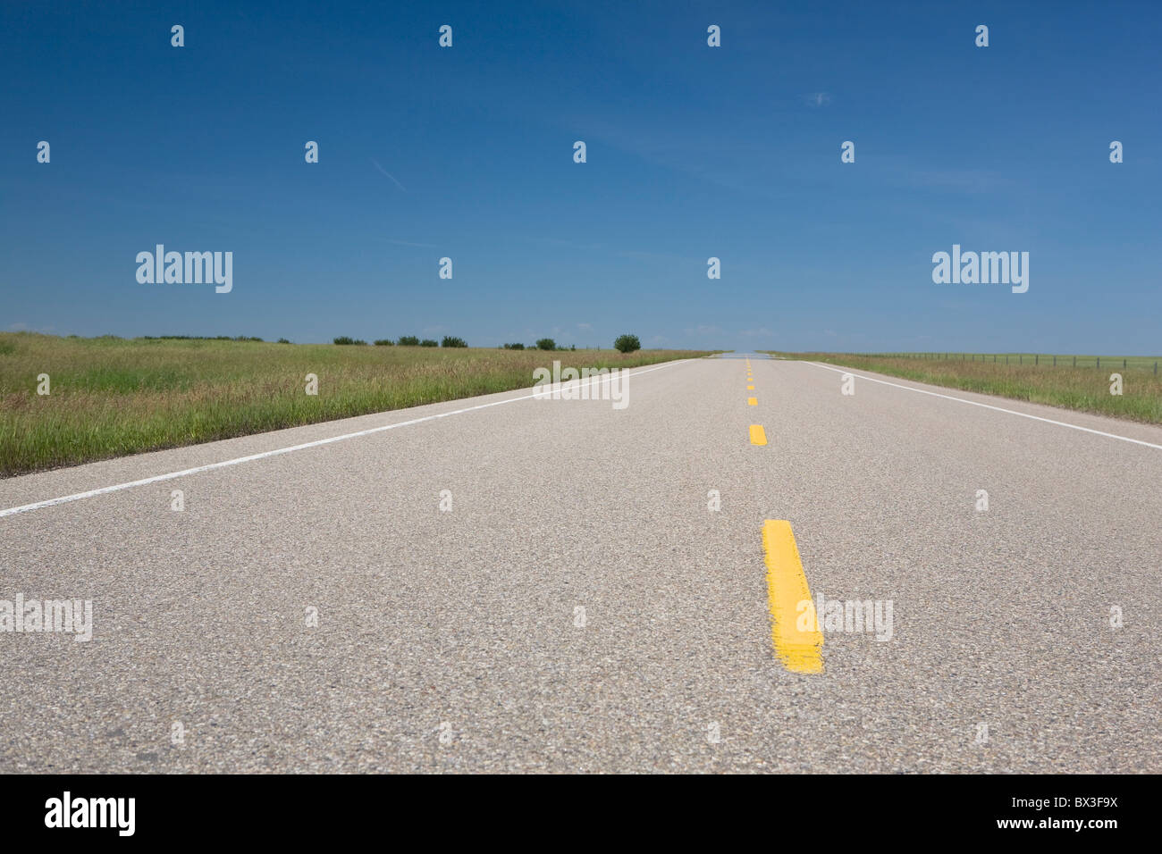 Strada pavimentata con striscia gialla linee; Alberta, Canada Foto Stock