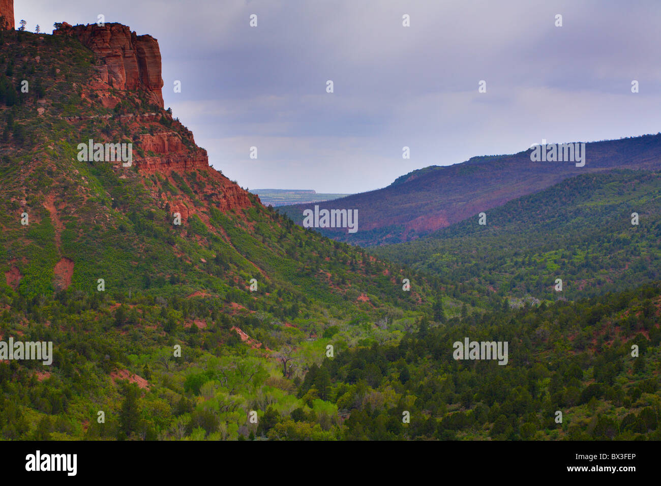 Parco Nazionale di Zion Foto Stock
