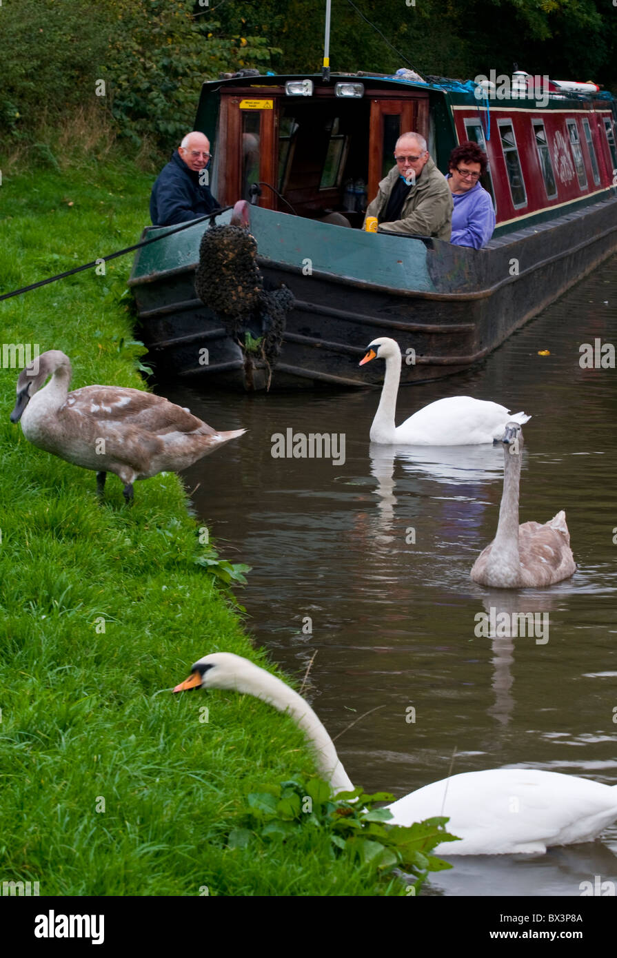 Cuckmere Haven Sussex Foto Stock