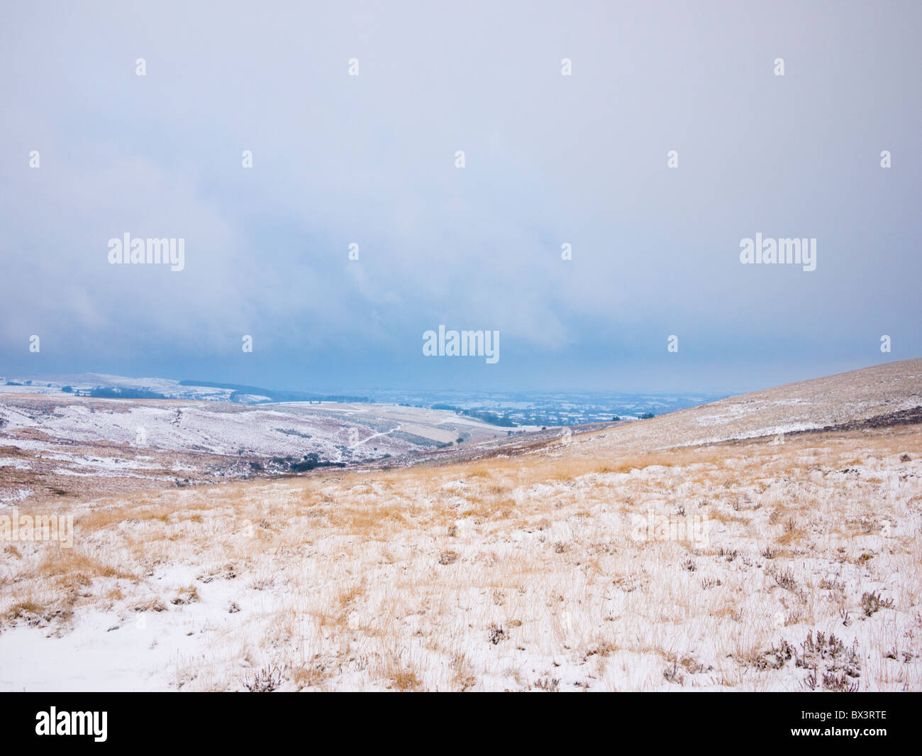 Snowfall su Chagford Common nel Dartmoor National Park vicino a Post Bridge, Inghilterra. Foto Stock