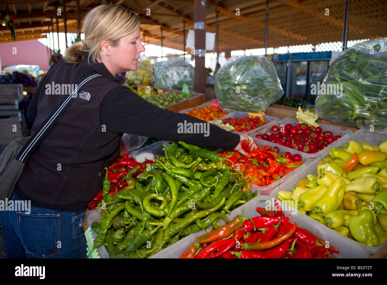 Donna shopping per una varietà di peperoni in un esterno di mercato degli agricoltori in Fruitland, Idaho, Stati Uniti d'America. Signor Foto Stock