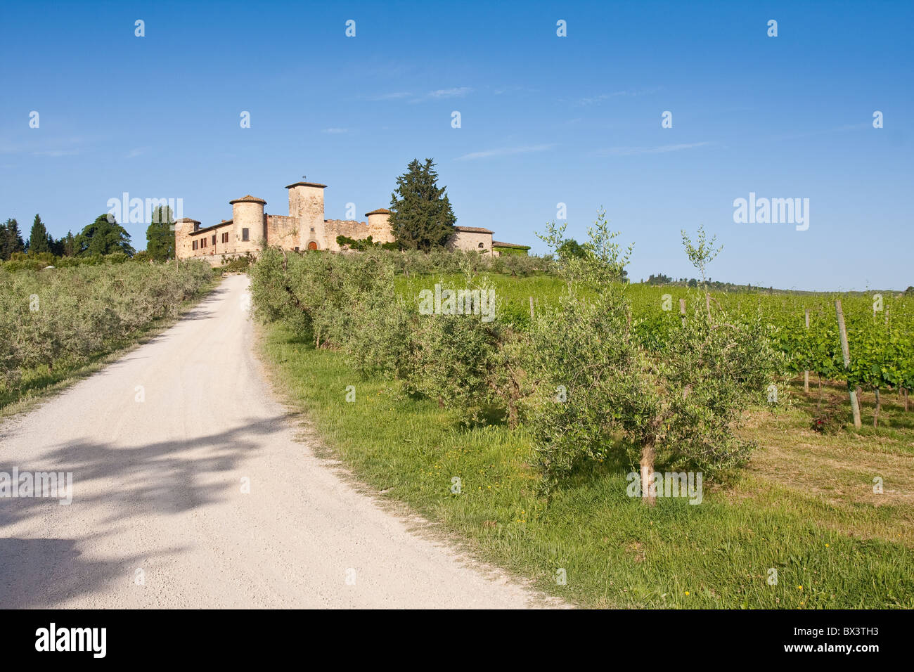 Tipico paesaggio nella regione italiana Toscana Foto Stock