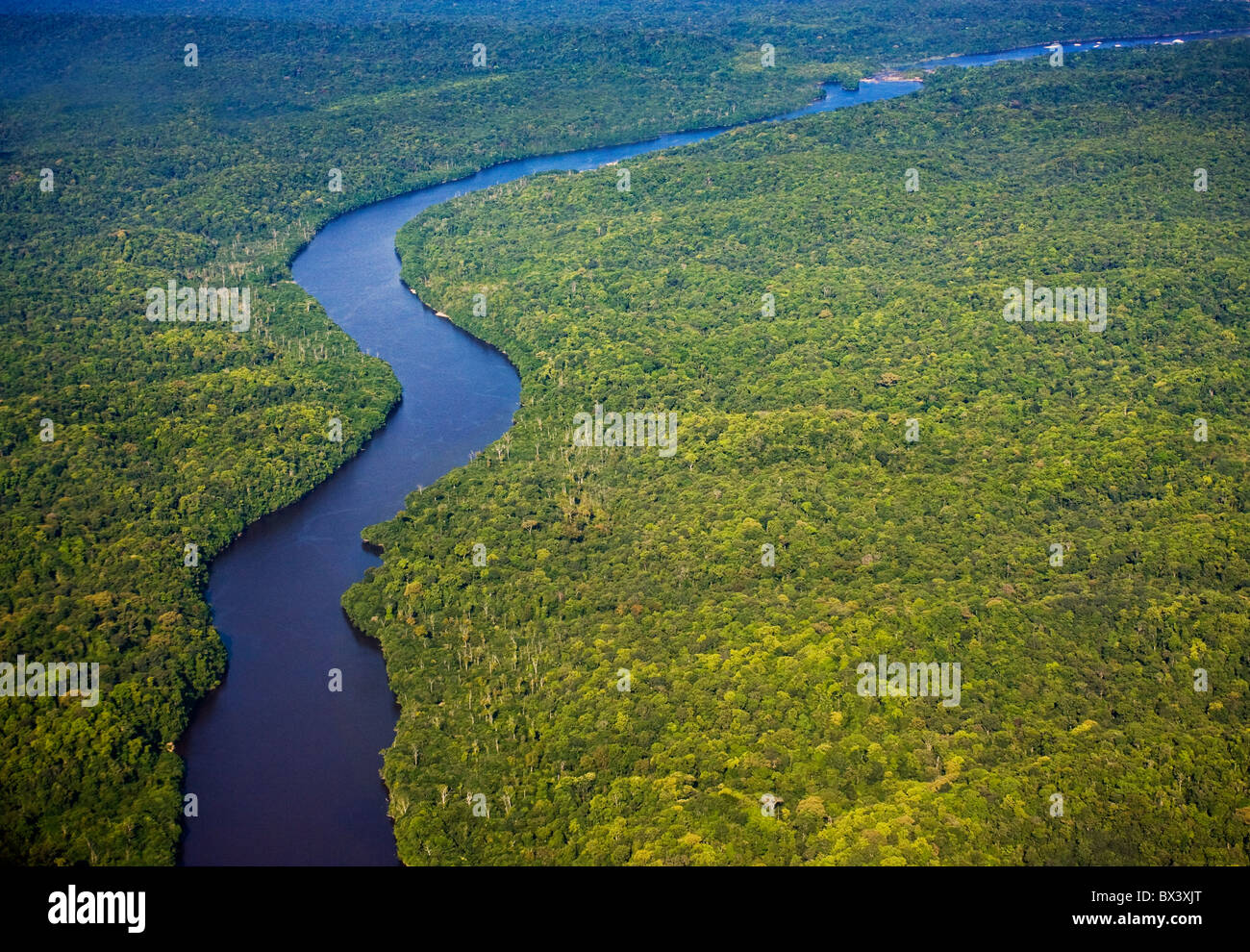 Antenna della foresta pluviale, fiume Potaro, Guyana, Sud America. Foto Stock