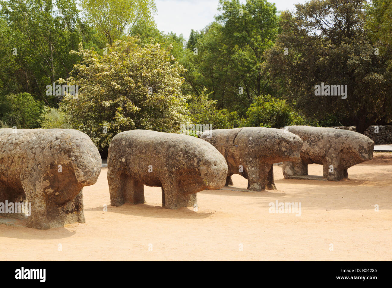 Il Granito Celti-Iberian tori di Guisando, vicino a El Tiemblo; provincia di Avila, Spagna Foto Stock