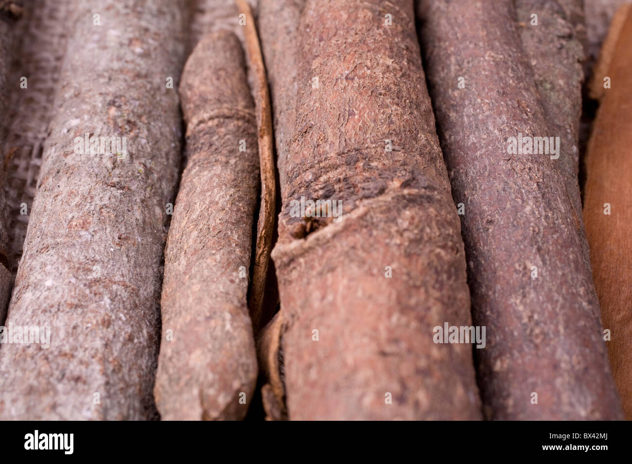 Spessore, chunky pezzi di cannella Foto Stock