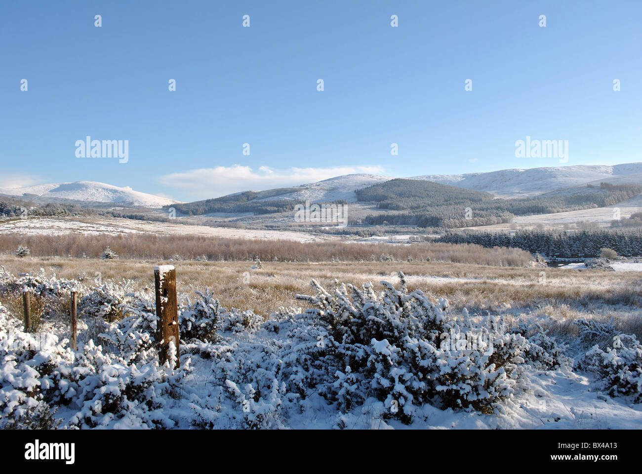 Paesaggio rurale in Irlanda nel periodo invernale Foto Stock