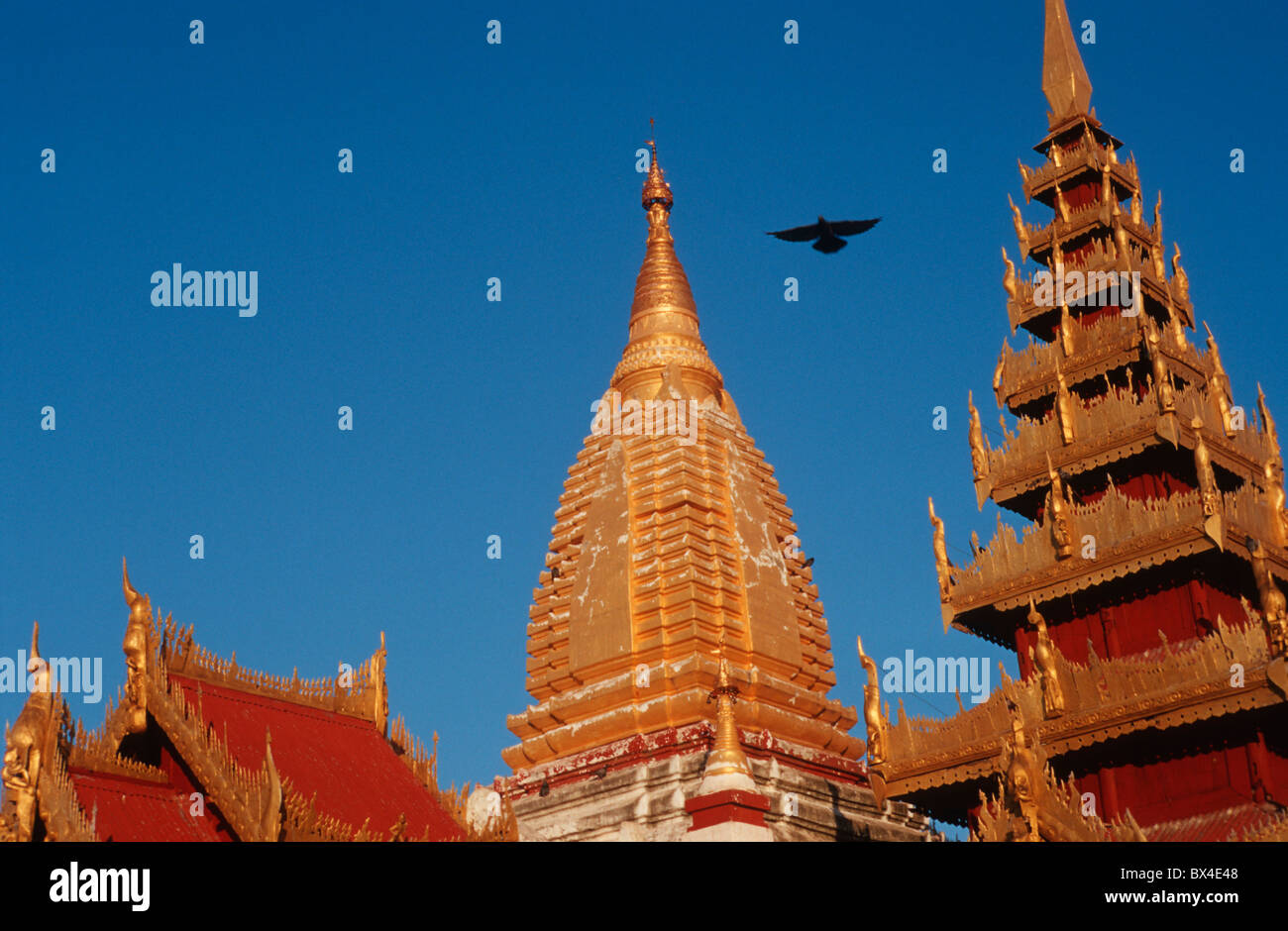 La pagoda Shwezigon Nyaung U Bagan dettaglio bird architettura dente Zedi reliquia patrimonio culturale mondiale dell UNESCO Mya Foto Stock