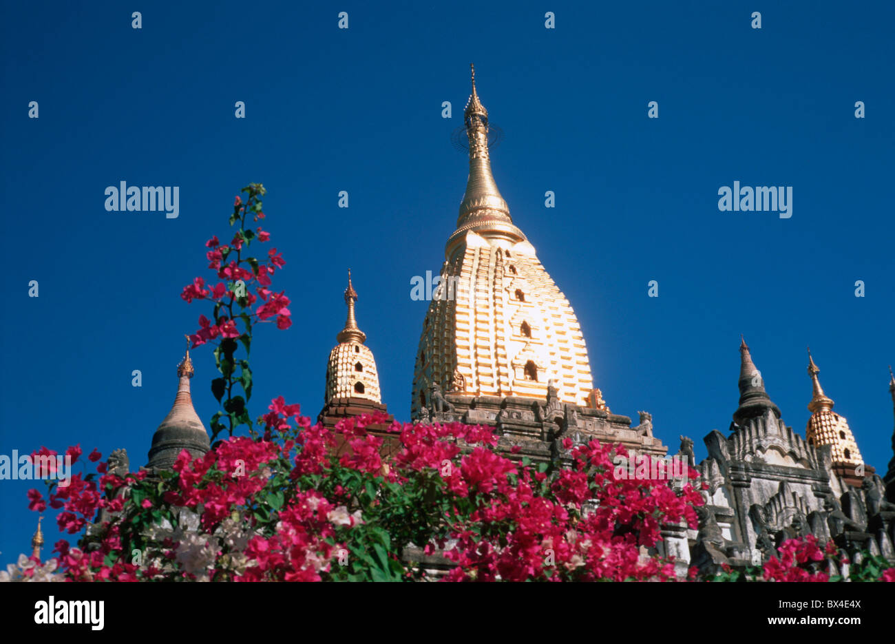 Templi di Ananda Bagan pagoda Pagan UNESCO patrimonio culturale mondiale del buddismo fiori MYANMAR Birmania sud-est una Foto Stock