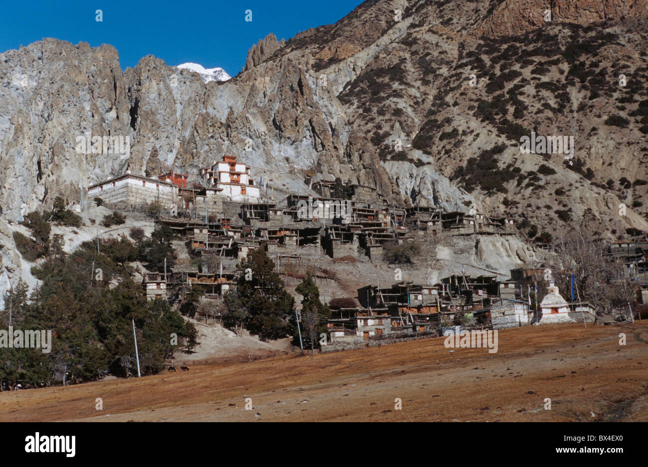 Braga 3 470 ms luogo borgo medievale di insediamento case in pietra tetti piani area Annapurna Annapurna Himal natur Foto Stock