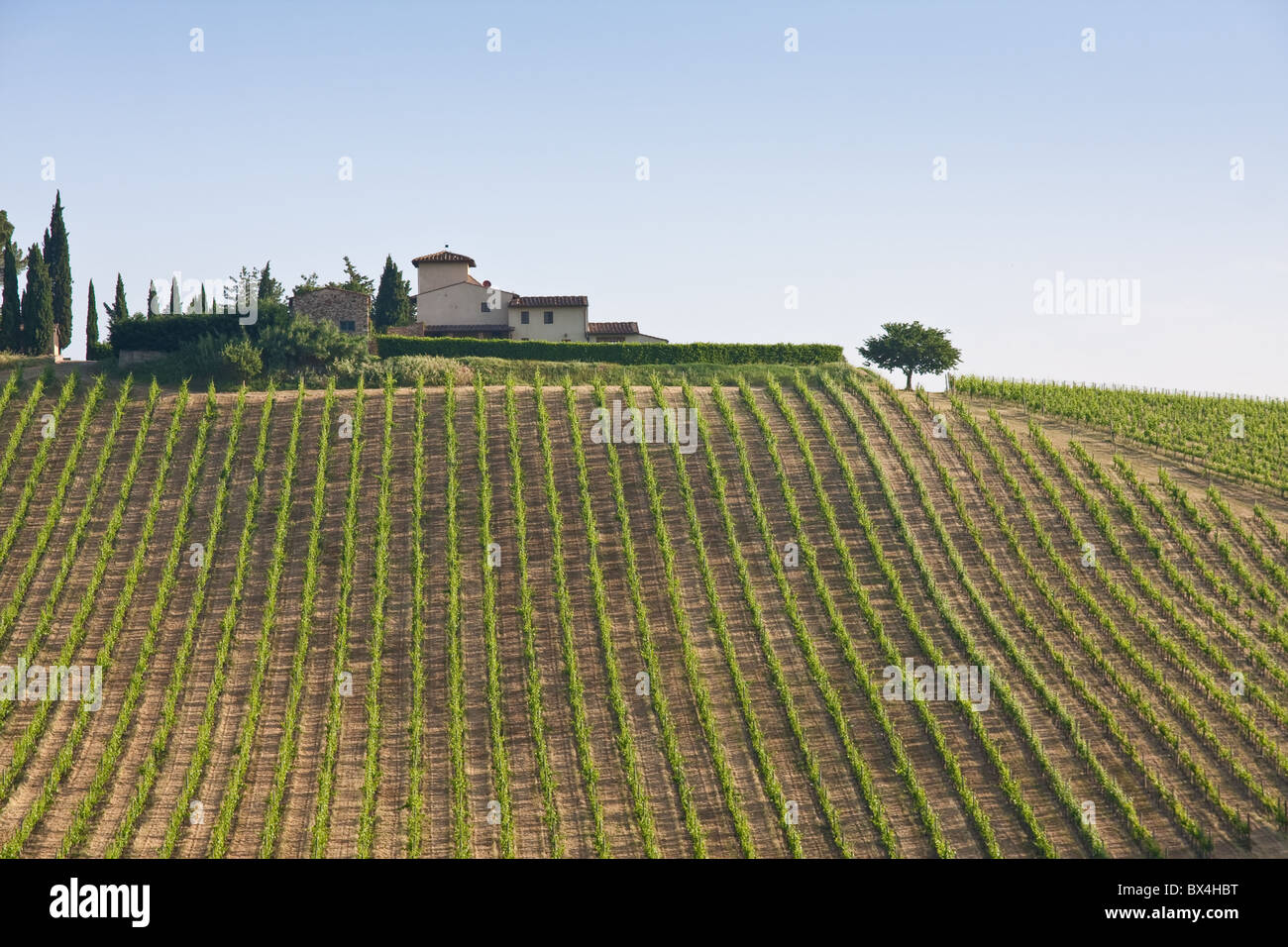Tipico paesaggio nella regione italiana Toscana Foto Stock