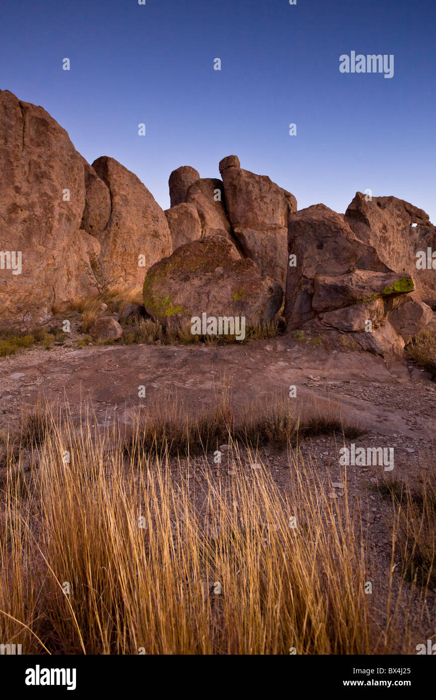 Formata da ceneri vulcaniche 30 milioni di anni fa, l'esclusivo Monolithic formazioni rocciose dominano la città di roccia del parco statale campeggio nel Nuovo Messico, Stati Uniti d'America. Foto Stock