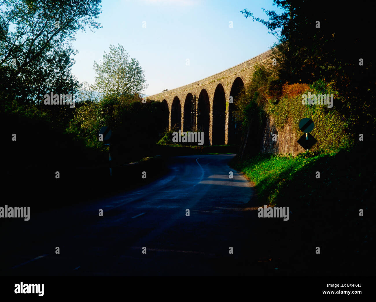 In disuso viadotto ferroviario, Kilmacthomas, Co Waterford, Irlanda Foto Stock