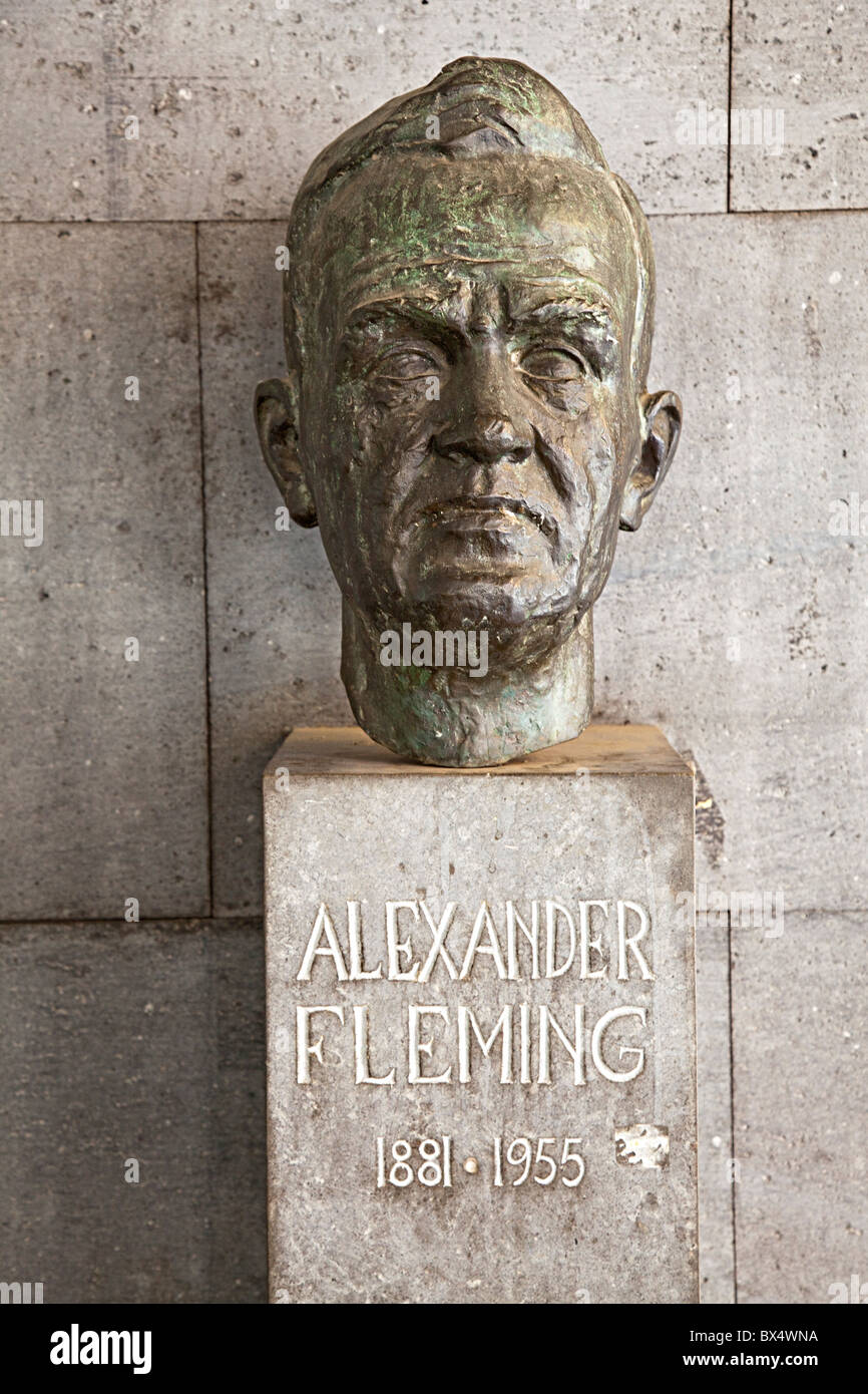 Busto di Alexander Fleming Olot Garrotxa regione Catalunya Spagna Foto Stock
