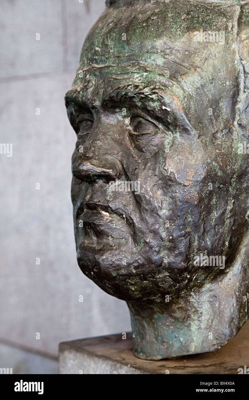 Busto di Alexander Fleming Olot Garrotxa regione Catalunya Spagna Foto Stock