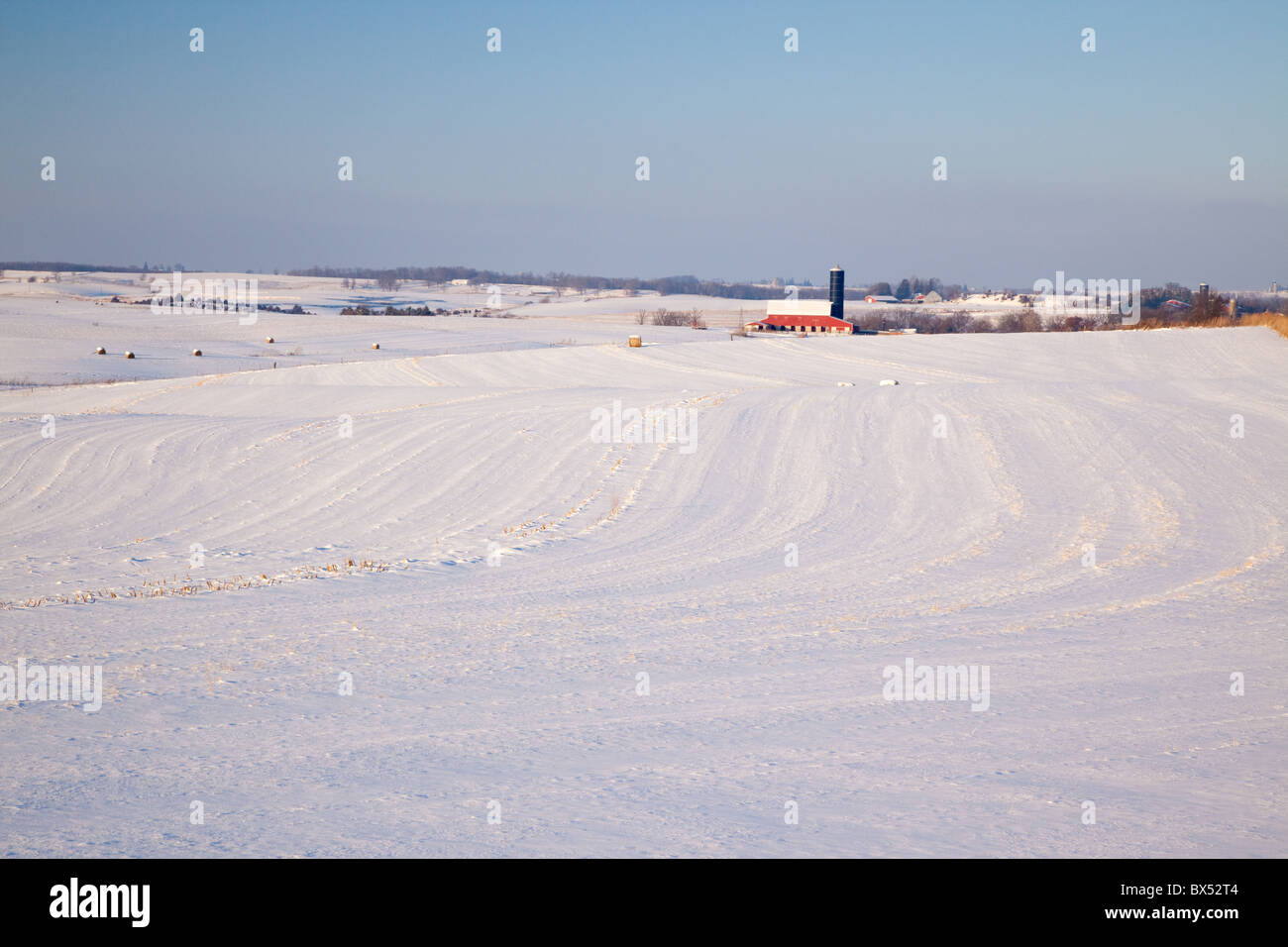 Coperte di neve campo lungo la zona Driftless Scenic Byway, Allamakee County, Iowa Foto Stock