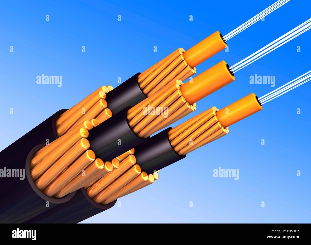 Fascio di fibre ottiche per le comunicazioni, Foto Stock