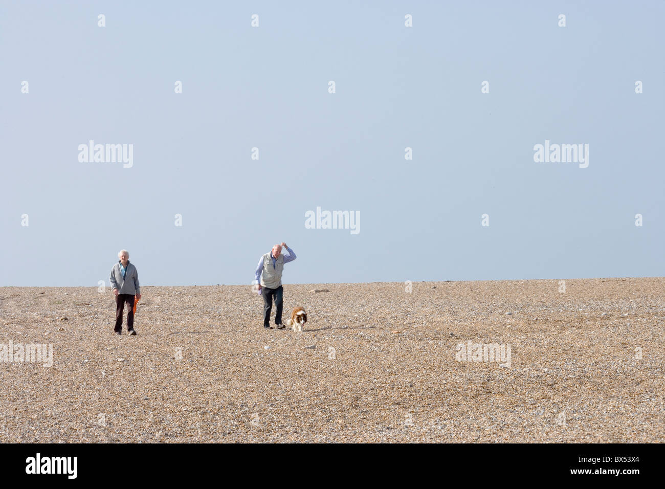 La ricreazione, esercizio, cane a camminare sulla spiaggia. Cley, Costa North Norfolk. Foto Stock