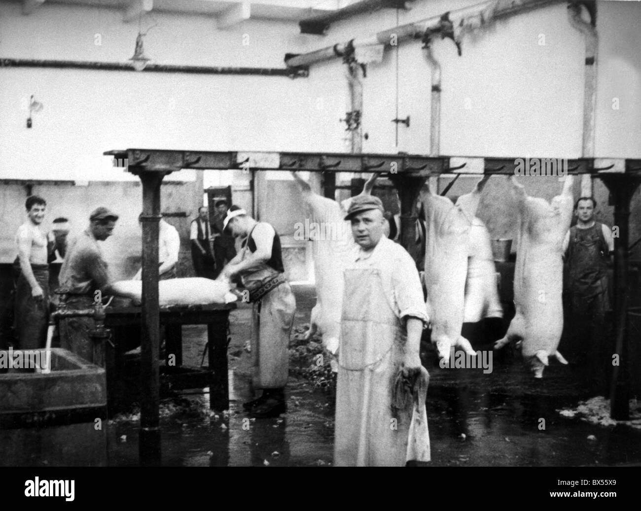 Praga 1935, vintage fotografia di macellazione casa di Holesovice. Foto Stock