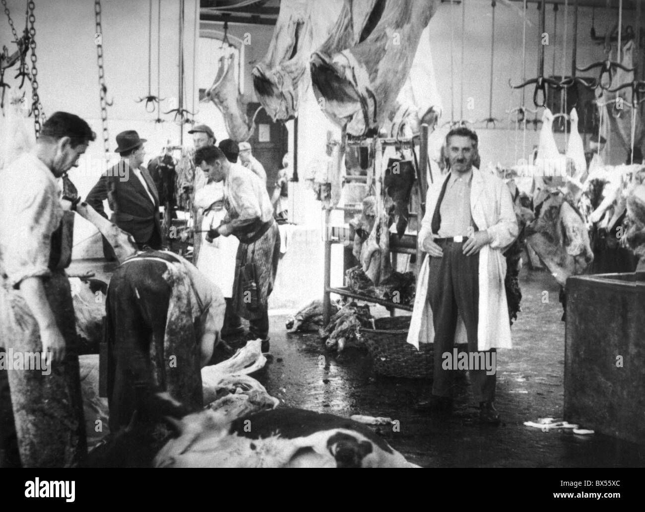 Praga 1935, vintage fotografia di macellazione casa di Holesovice. Foto Stock