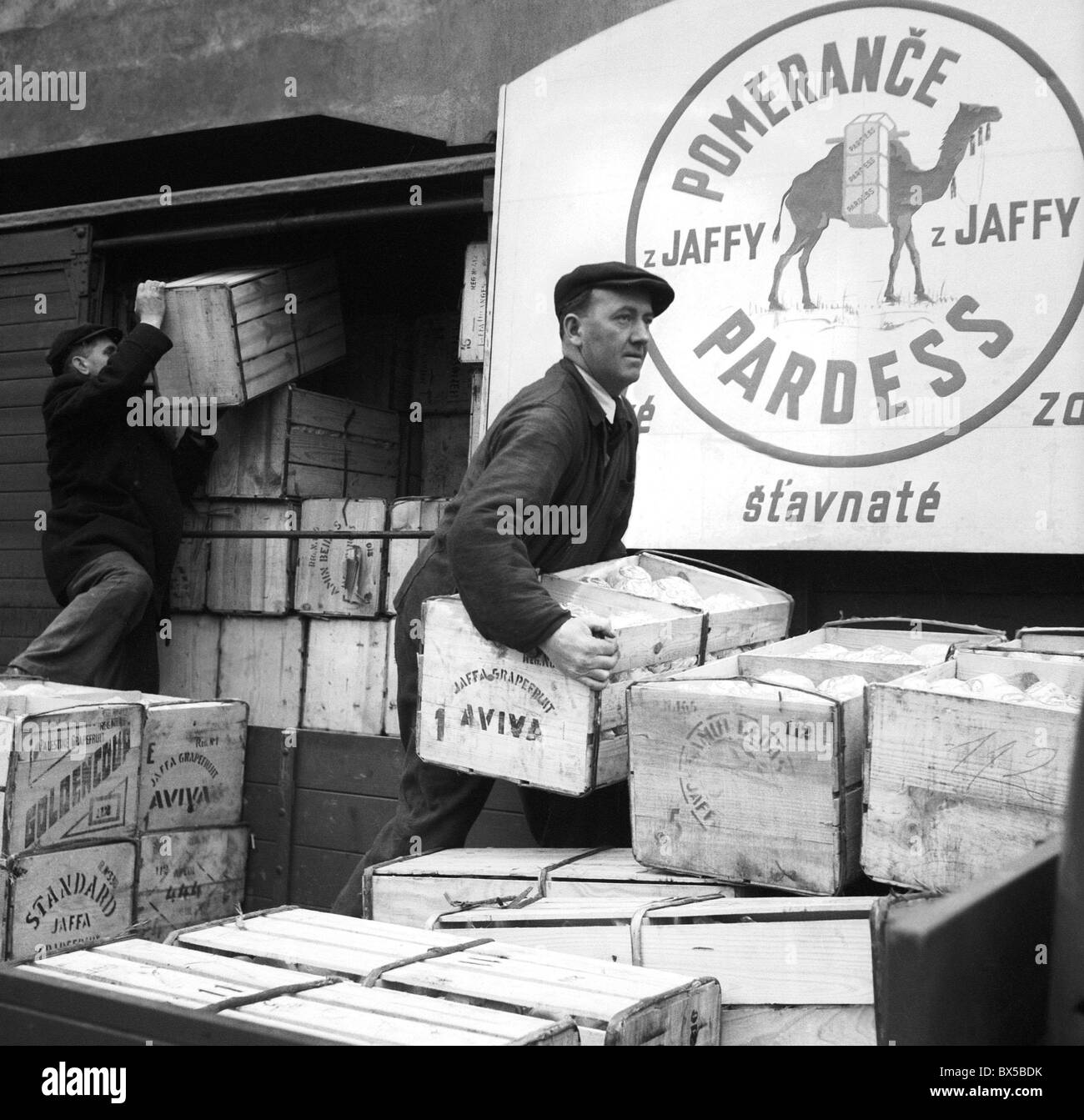 Praga, primo arrivo di arance fresche dopo la seconda guerra mondiale. CTK Vintage foto Foto Stock