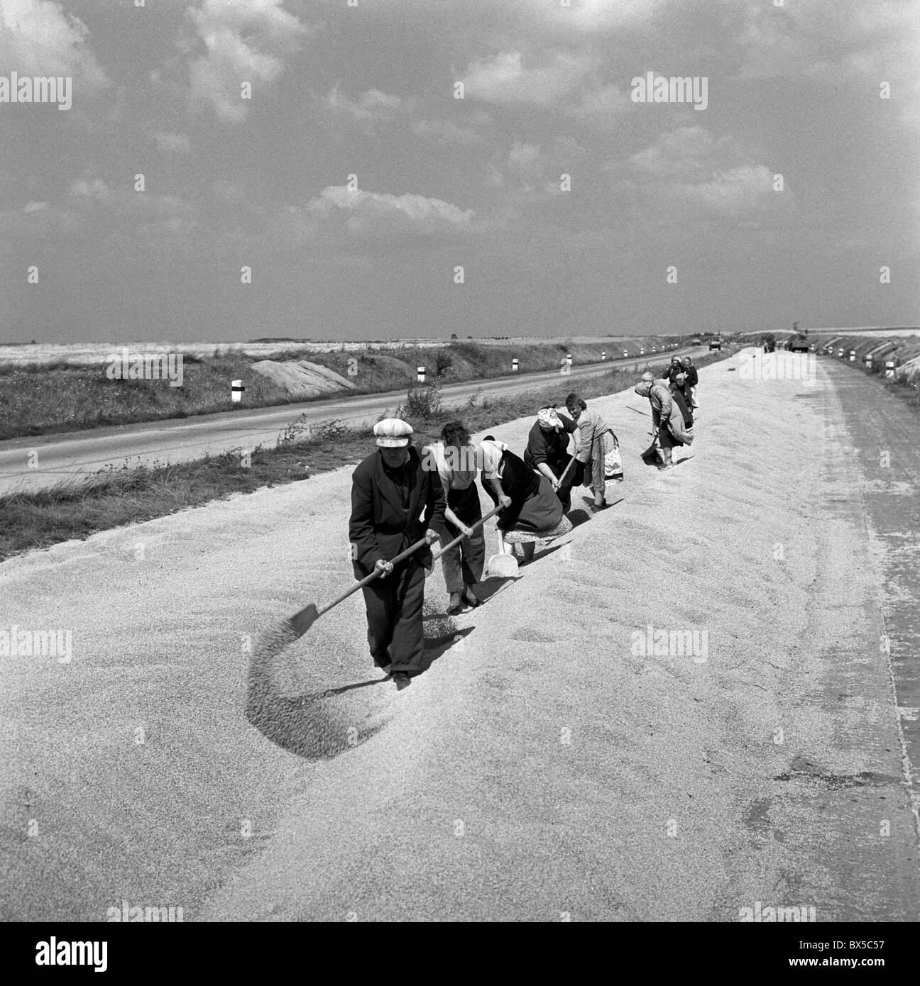 Regno Cooperativa Agricola lavoratori il grano a secco su autostrada Foto Stock