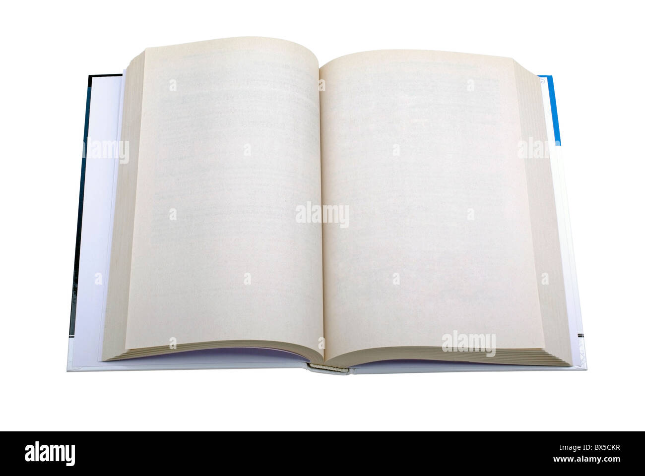 Aprire il libro vuoto pagine carta vuota per istruzione, documenti, letteratura, diario progettazione Foto Stock