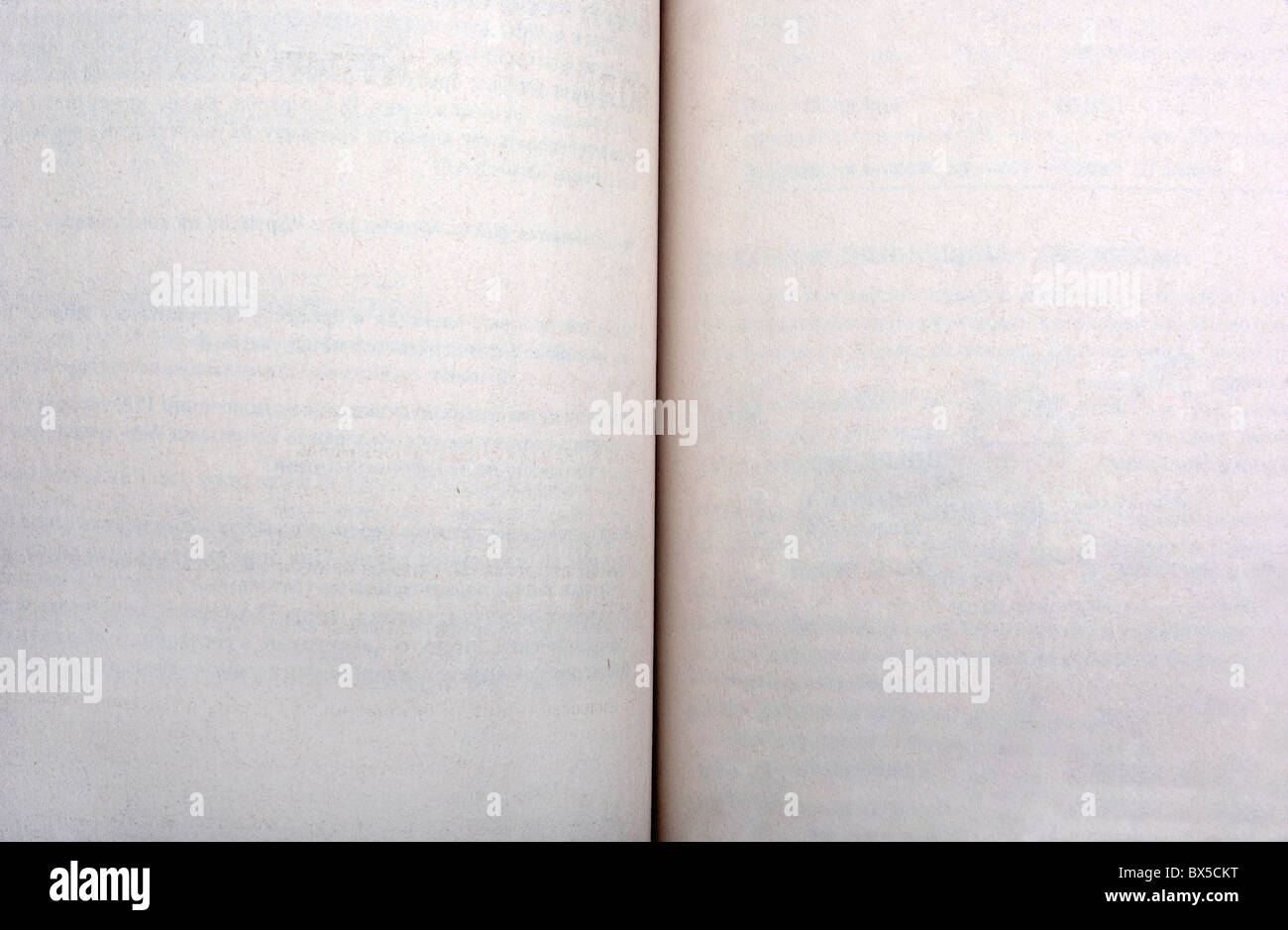 Aprire il libro vuoto pagine carta vuota per istruzione, documenti, letteratura, diario progettazione Foto Stock