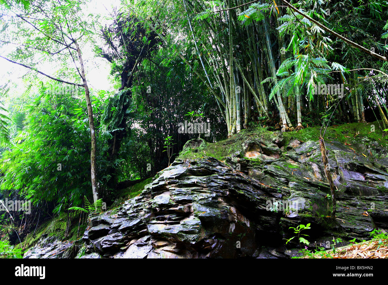 Rock hill Foto Stock