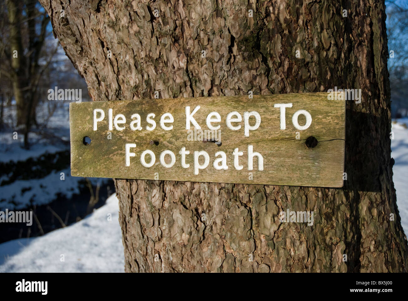 Sentiero in legno segno inchiodati ad un albero nel distretto del lago, Cumbria Foto Stock