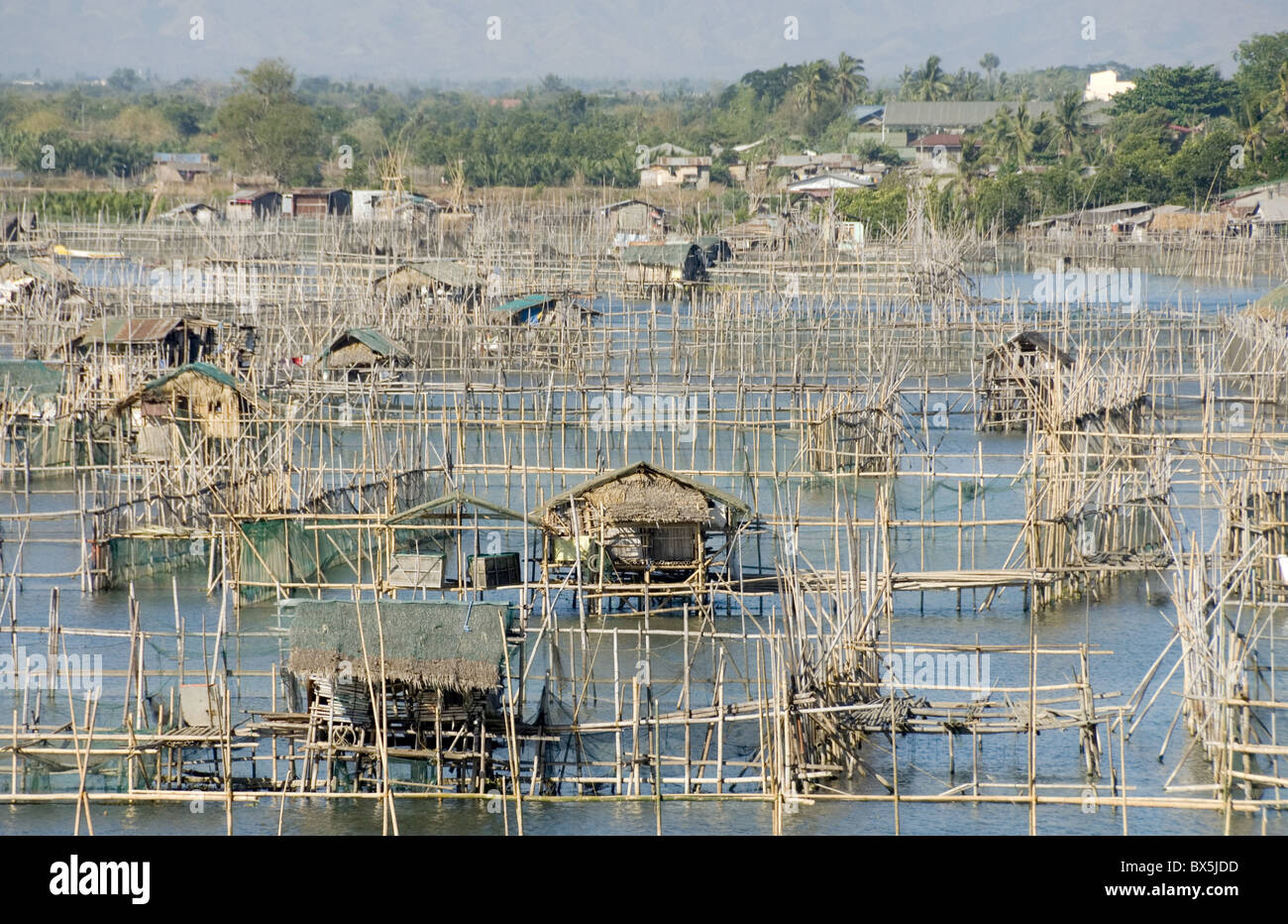 Le penne di pesce nel canale attraverso le zone umide in corrispondenza di estremità sud del golfo di Lingayen, vicino Dagupan, nordovest di Luzon, Filippine Foto Stock