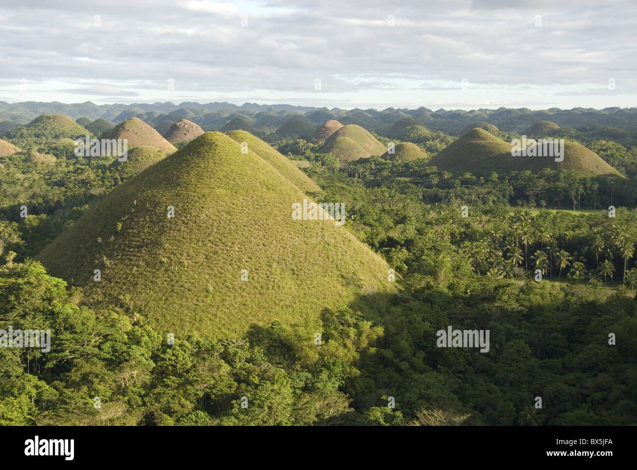 Chocolate Hills, colline coniche in tropicale carsico calcareo, Carmen, Bohol, Filippine, Sud-est asiatico, in Asia Foto Stock