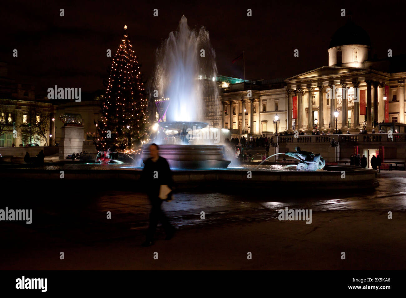 Il Norvegese albero di Natale in Trafalgar Square Londra di notte, Xmas 2010 Foto Stock