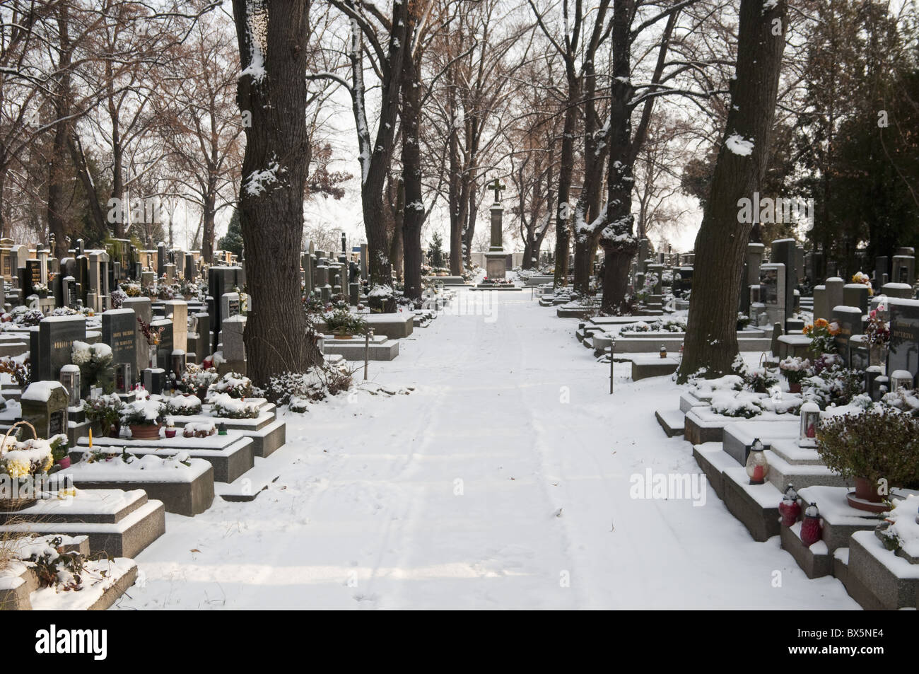 Coperte di neve cimitero, villaggio di Treboradice, Praga, Repubblica Ceca, Europa Foto Stock