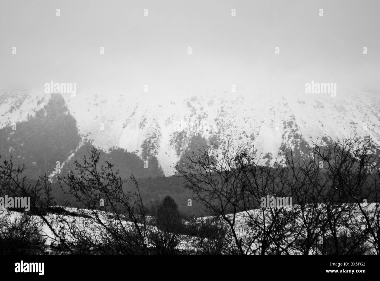 La natura in autunno con deboli nevicate Foto Stock