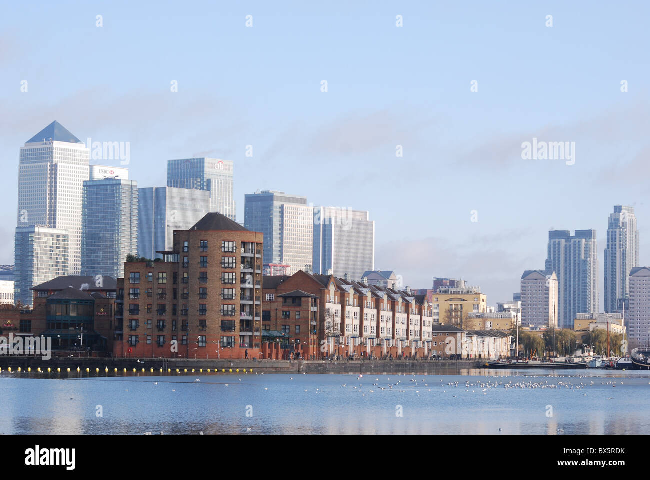 Terra verde Dock Canary Wharf Foto Stock