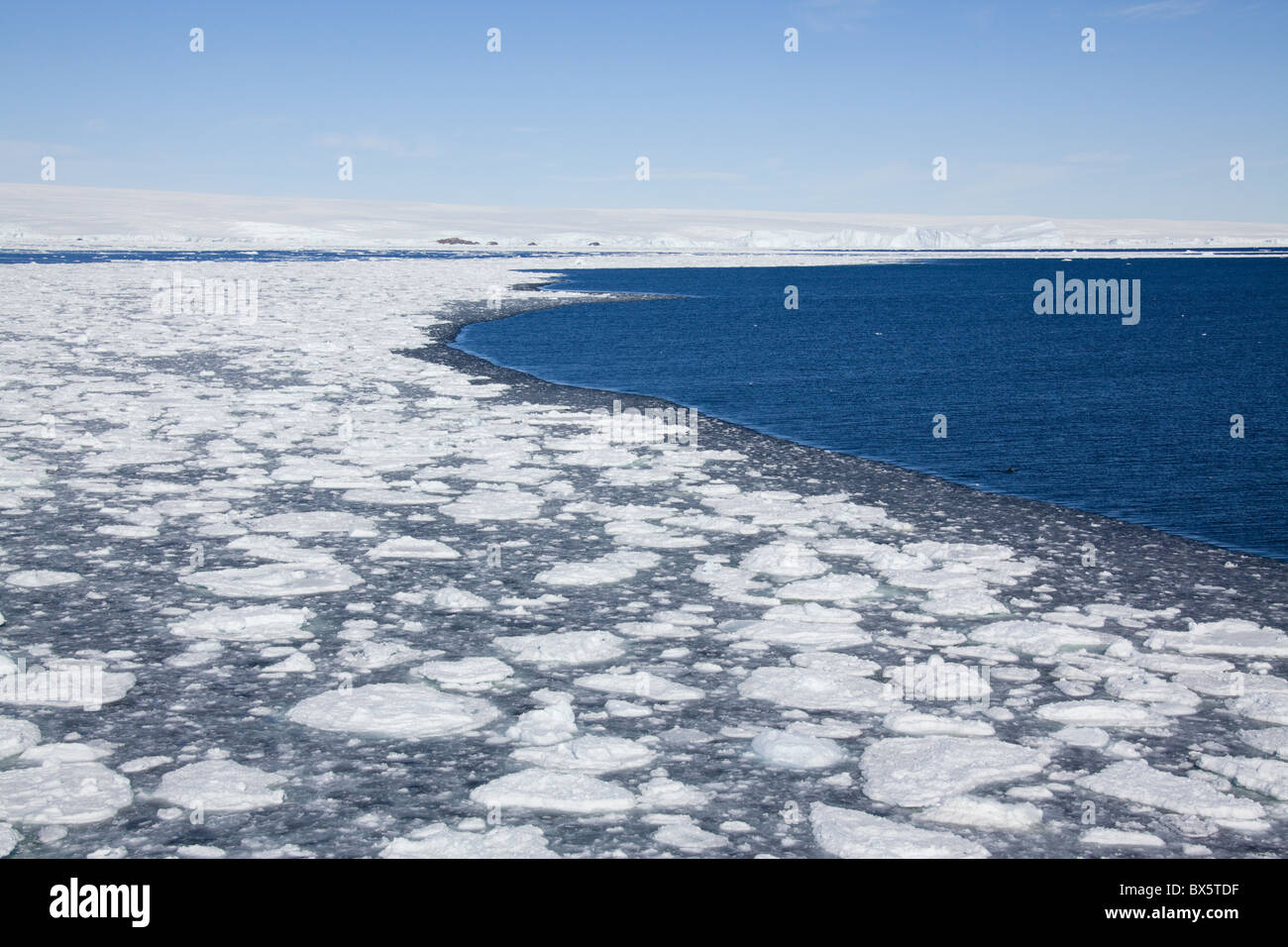 Pack ghiaccio, Dumont d'Urville, Antartide, regioni polari Foto Stock