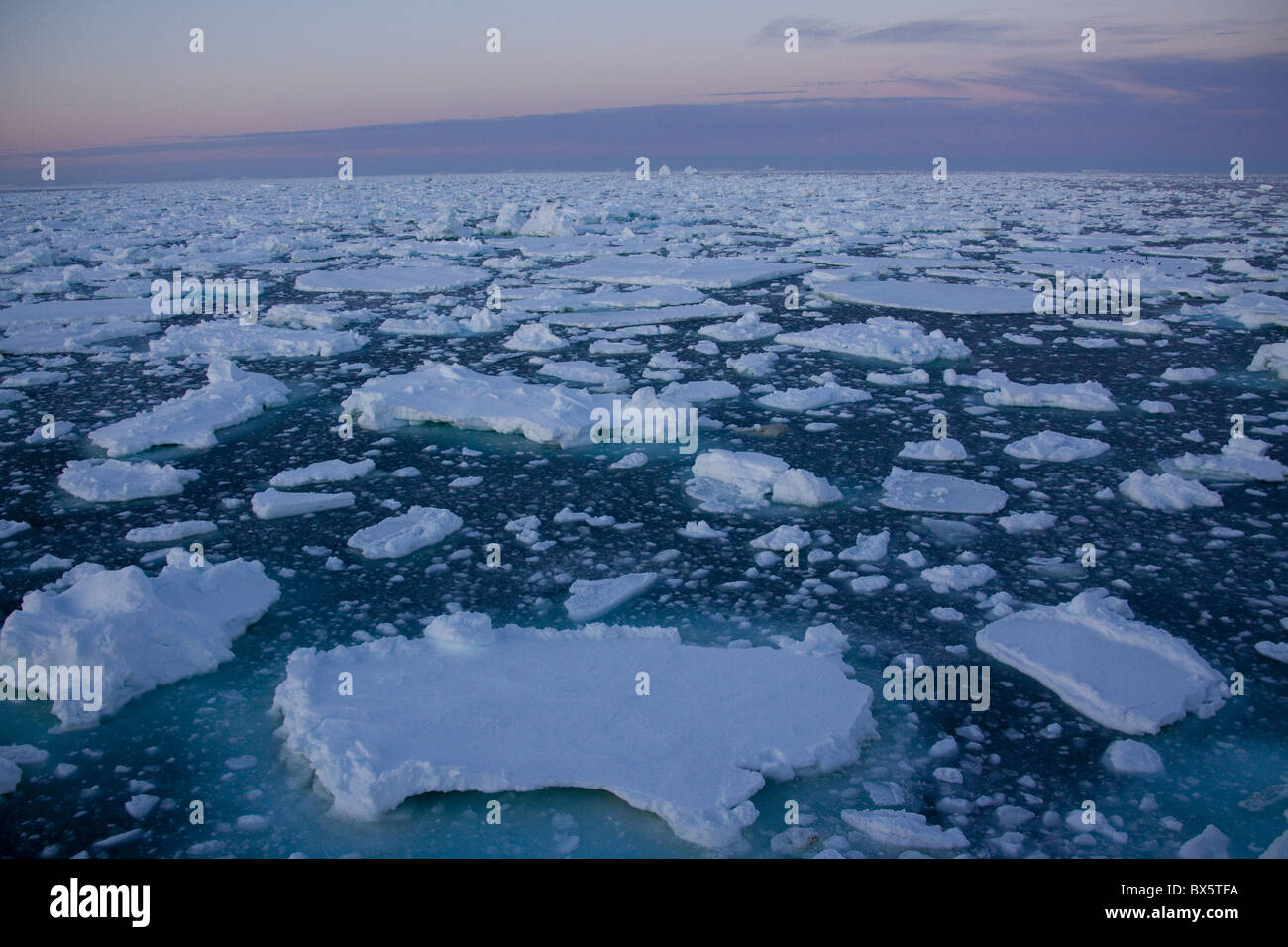 La banchisa a mezzanotte, Oceano Meridionale, Antartico, regioni polari Foto Stock
