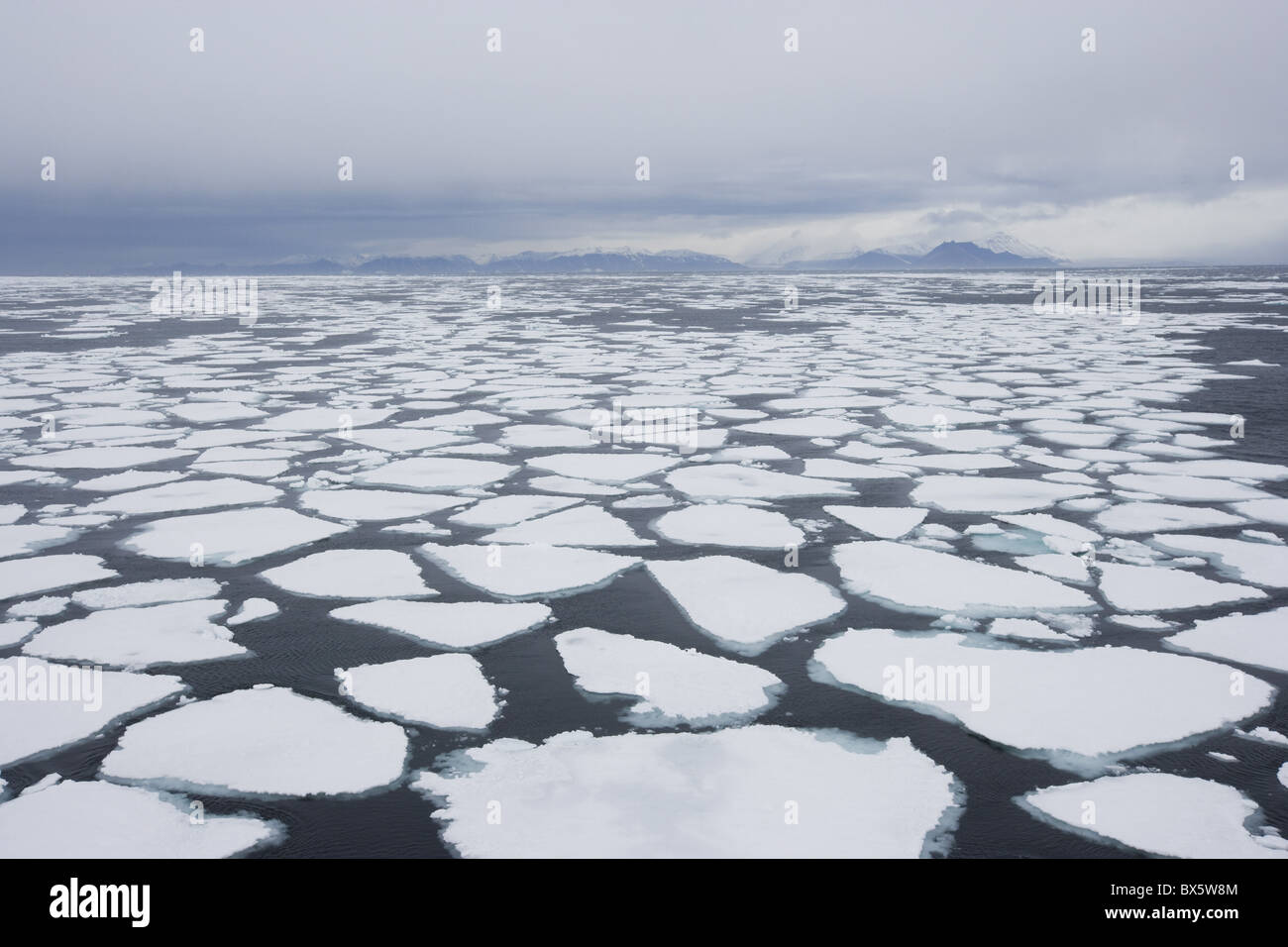 Glaçon, drift ice, Groenlandia, artiche, regioni polari Foto Stock