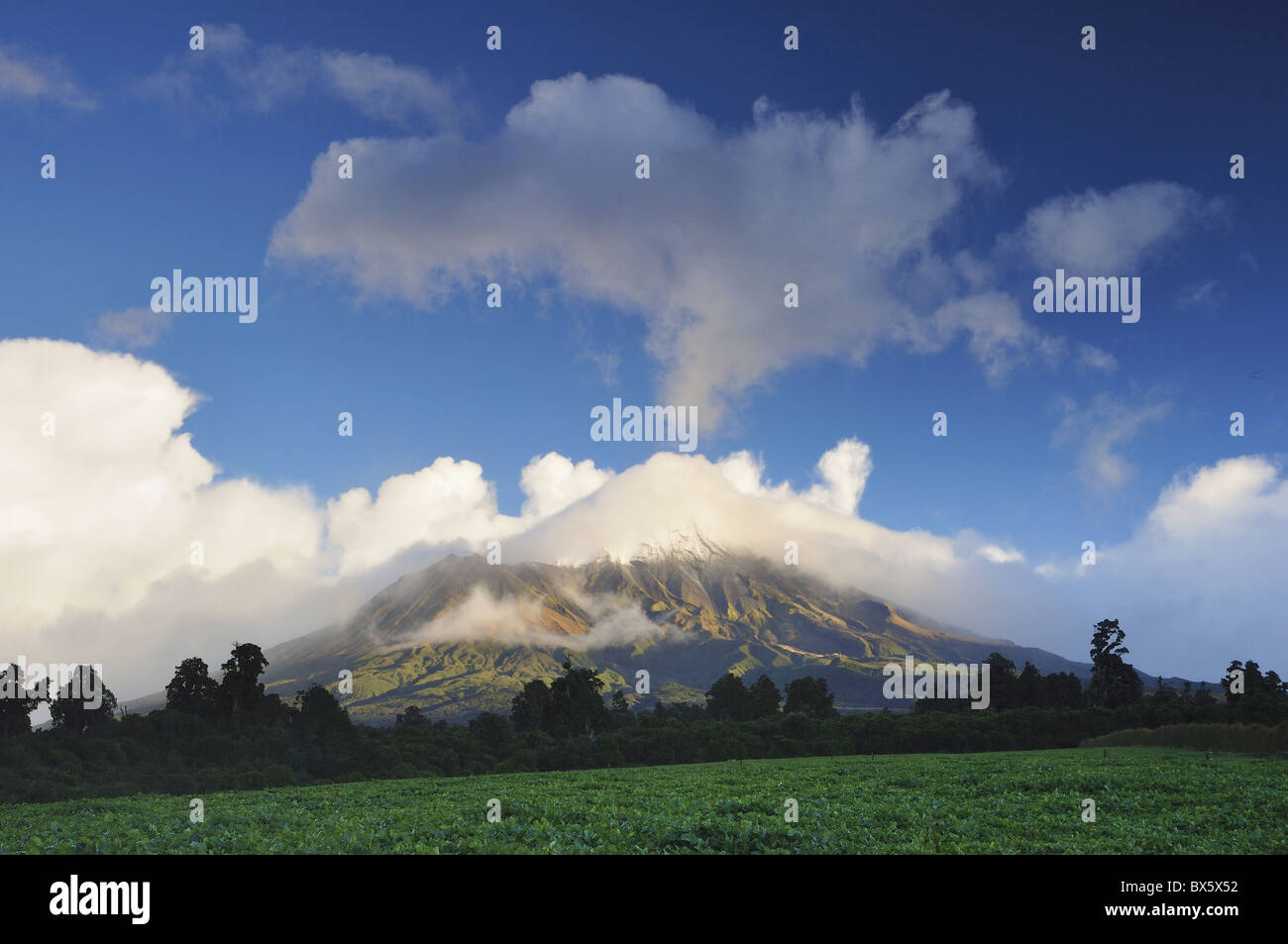 Mount Taranaki (Mount Egmont), Mount Taranaki National Park (Mount Egmont National Park), Taranaki, Isola del nord, Nuova Zelanda Foto Stock