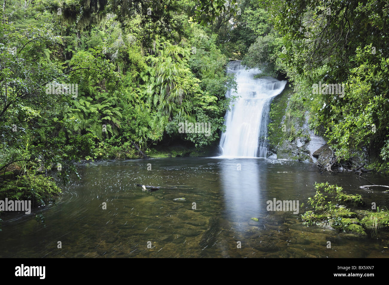 Bridal Veil Falls, Te Urewera National Park, Baia di Planty, Isola del nord, Nuova Zelanda, Pacific Foto Stock