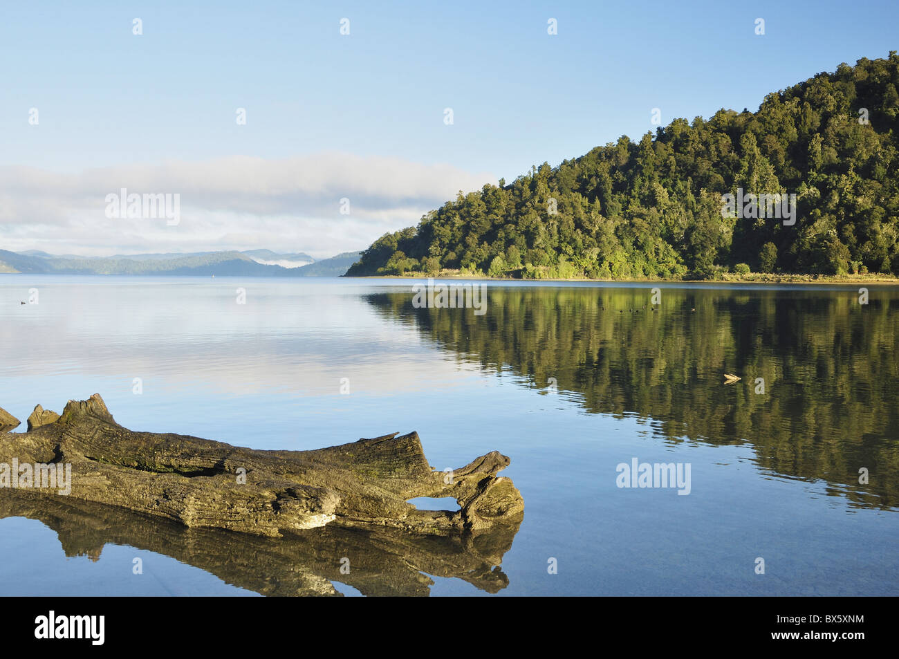 Lago Waikaremoana, Te Urewera National Park, Baia di Planty, Isola del nord, Nuova Zelanda, Pacific Foto Stock