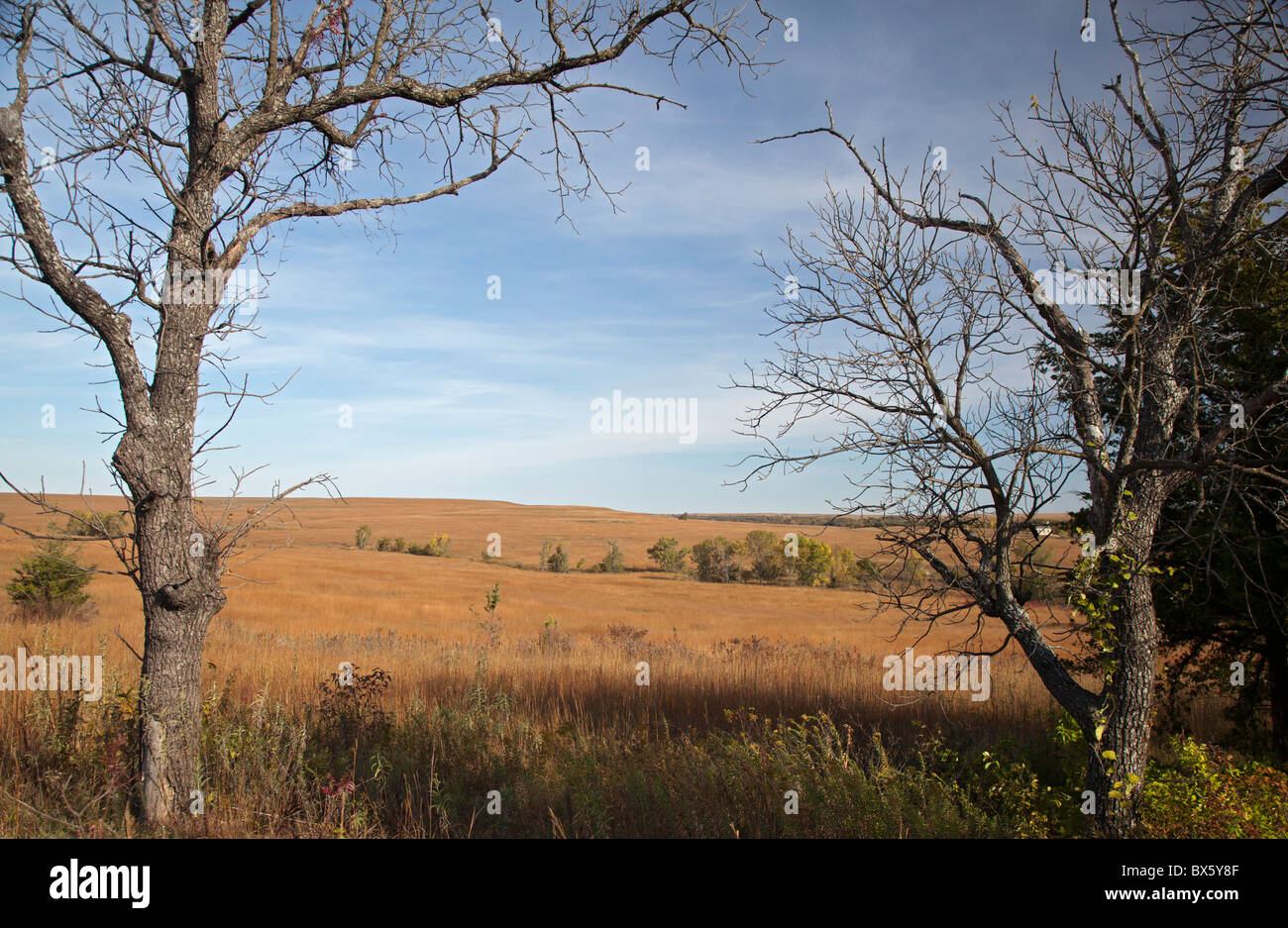 Tallgrass Prairie National Preserve Foto Stock