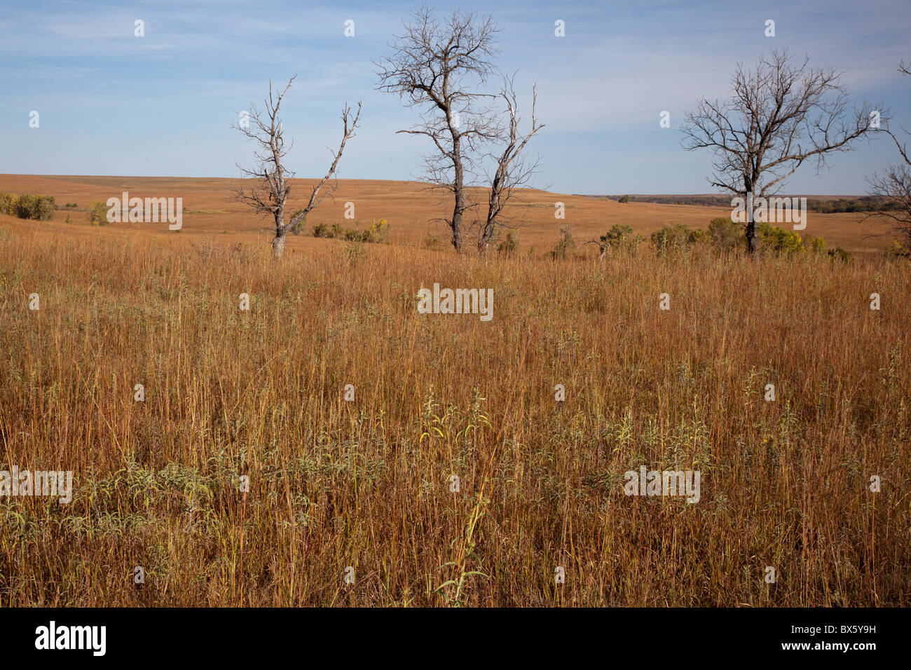 Tallgrass Prairie National Preserve Foto Stock