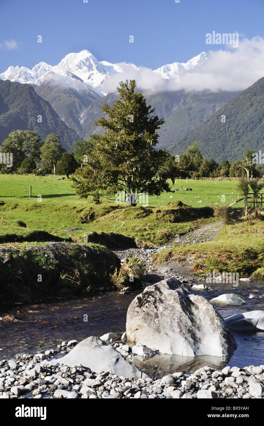 Mount Tasman e cuocere piana, Westland Tai Poutini National Park, sito Patrimonio Mondiale dell'UNESCO, nella costa occidentale della Nuova Zelanda Foto Stock