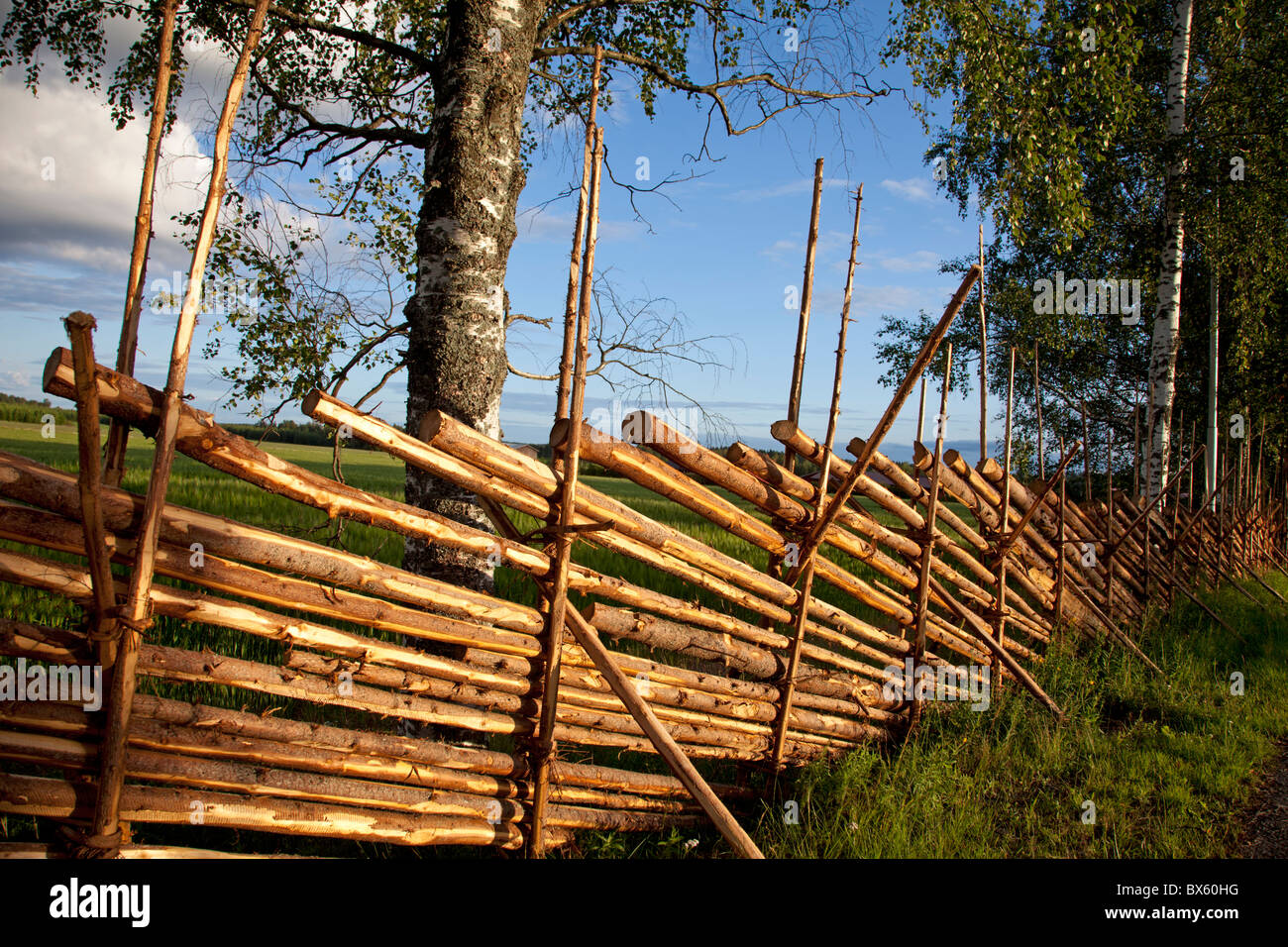 Tradizionale in legno finlandese split-rail o roundpole recinzione fatta di listelli di legno , Finlandia Foto Stock