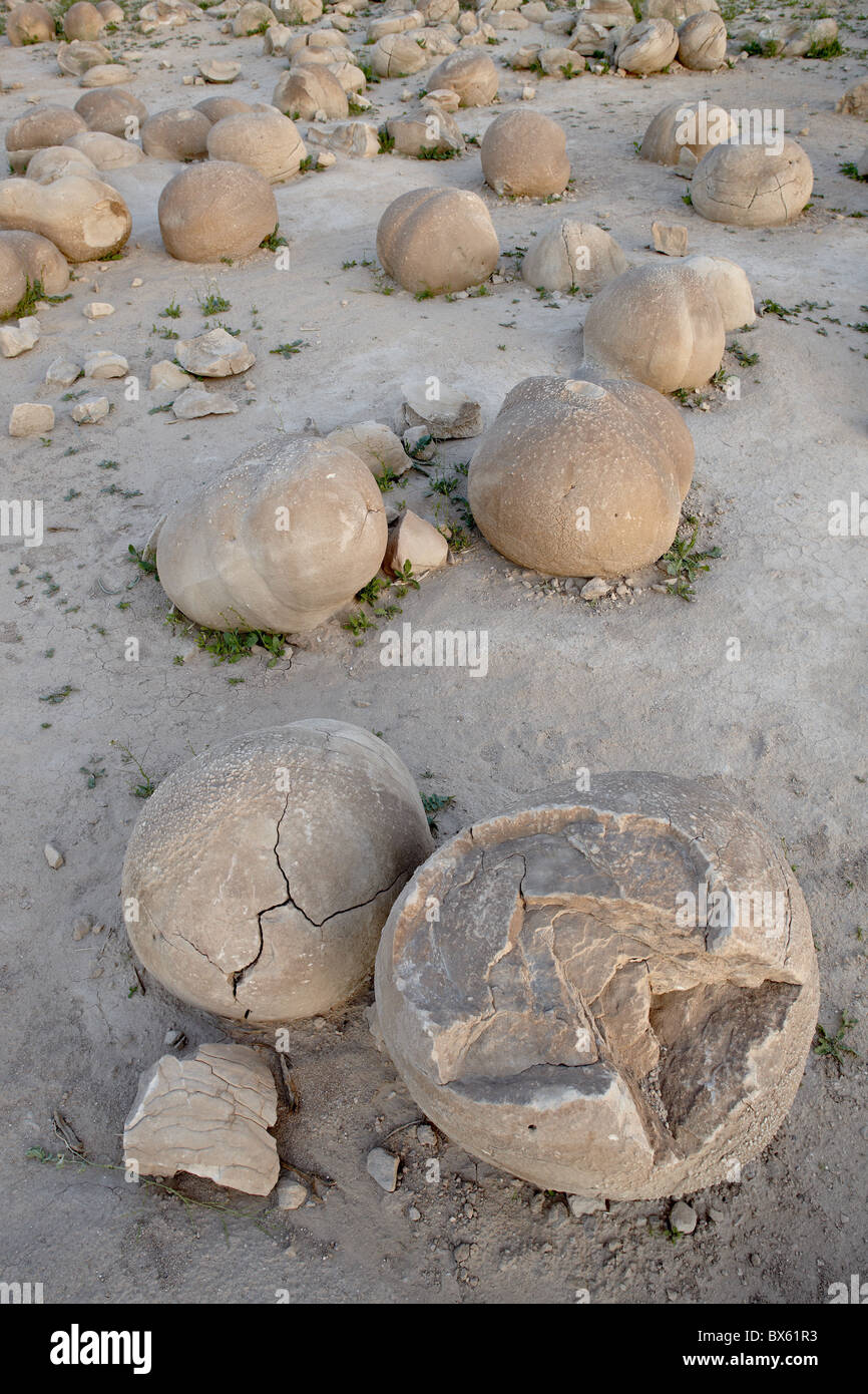 Massi in Zucca Patch, pozzetti Ocotillo membro Vehicular Recreation Area, California, Stati Uniti d'America Foto Stock