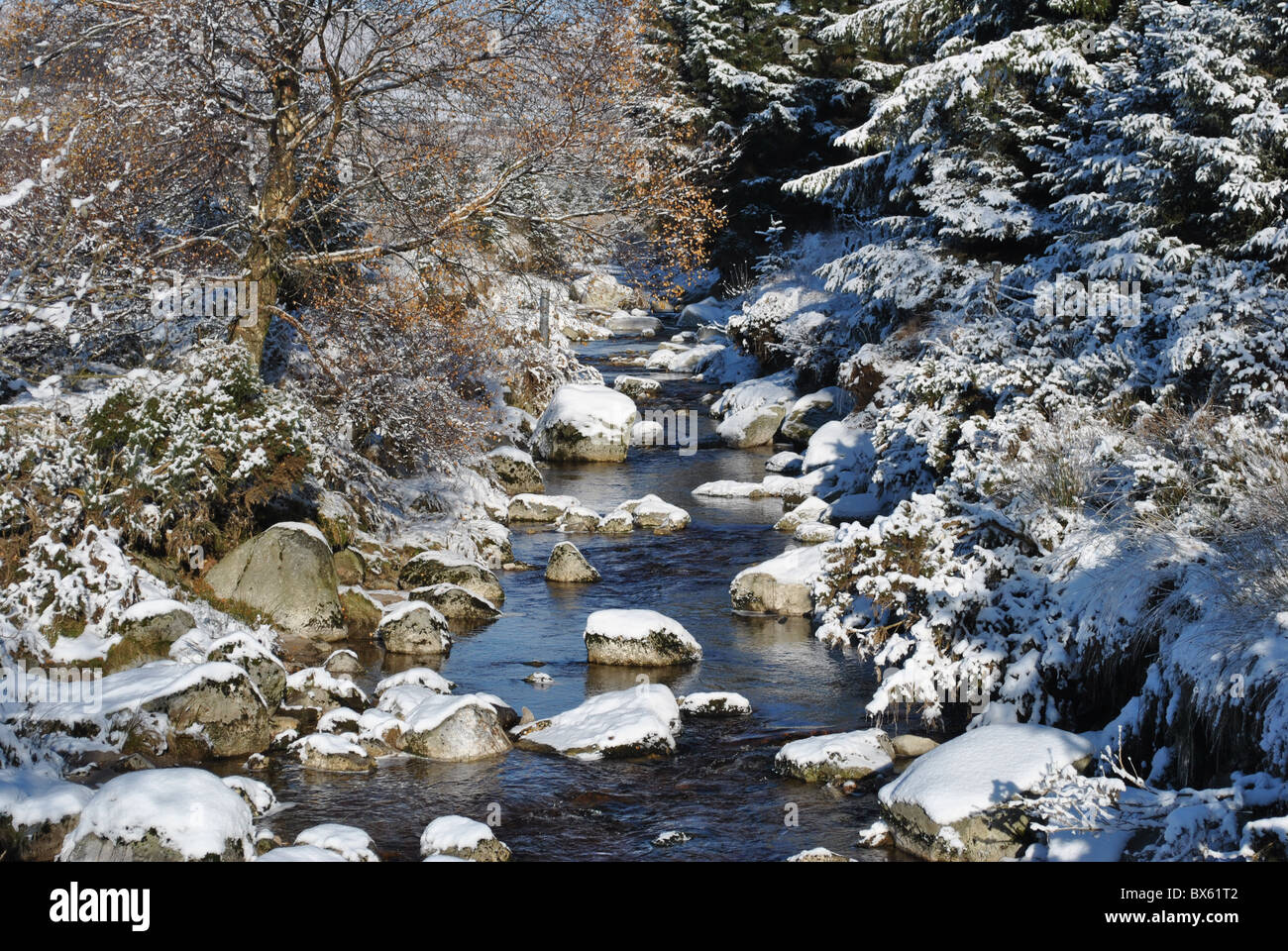 Paesaggio invernale in Irlanda Foto Stock