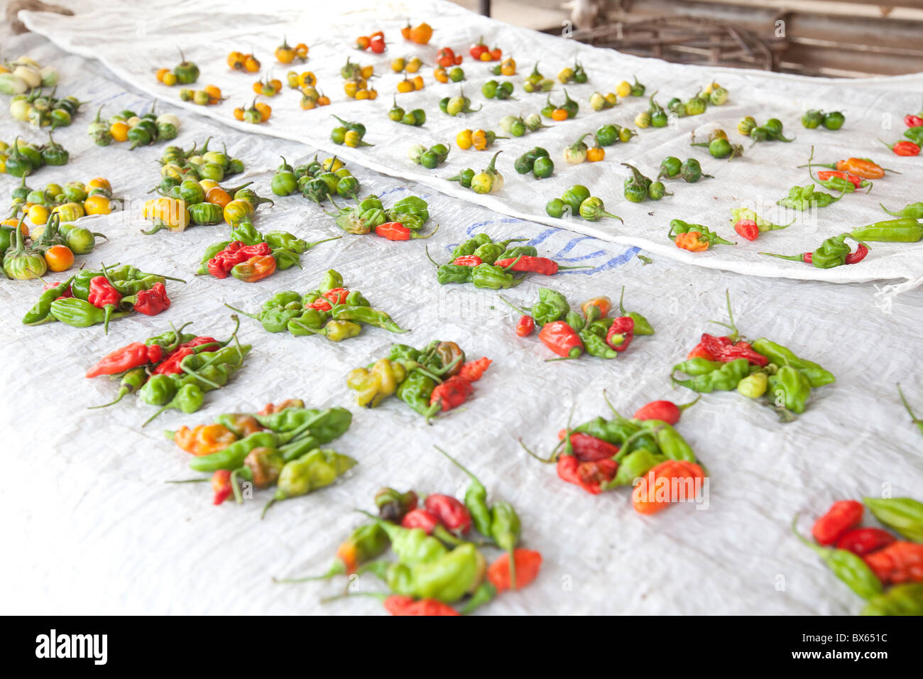 Peperoni sono in vendita in un piccolo mercato di Kakata, Liberia, Africa occidentale. Foto Stock