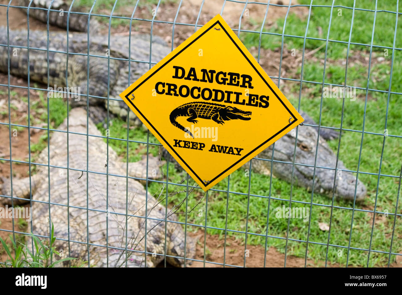 'Drabbia coccodrilli" segno presso il St Lucia Crocodile Farm, il iSimangaliso Wetland Park. Kwazulu Natal, Sud Africa Foto Stock